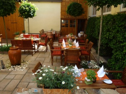 Foto: Steins Traube